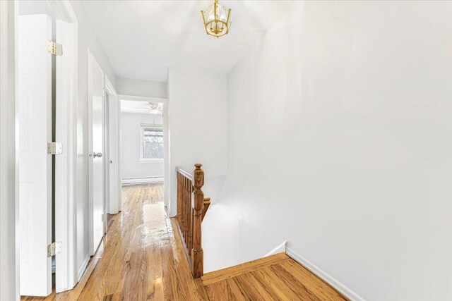 3135 Gunther Ave, Bronx, NY 10469 - hall featuring baseboard heating, baseboards, an inviting chandelier, and light wood-style flooring