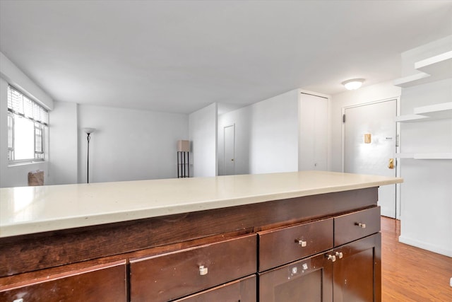 kitchen with light wood-style floors and dark brown cabinets