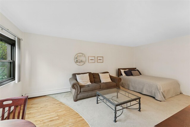 91 Tulip Ave Unit B1, Cartion, Floral Park, NY 11001 - bedroom with baseboard heating, wood finished floors, and baseboards