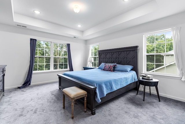 214 Phillips St, Middletown, NY 10940 - bedroom with baseboards, carpet floors, a tray ceiling, and visible vents