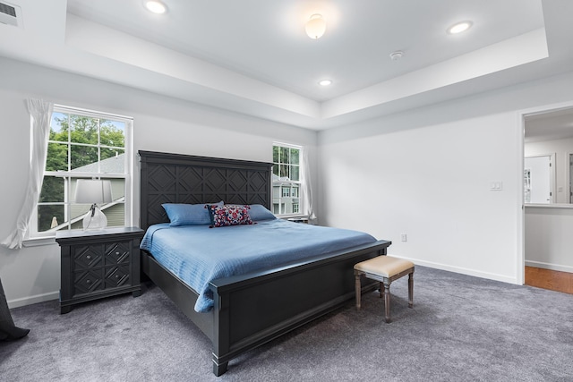214 Phillips St, Middletown, NY 10940 - bedroom featuring carpet floors, a tray ceiling, and multiple windows