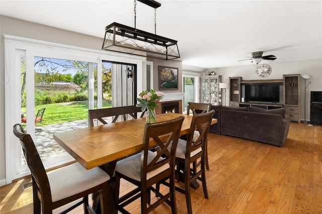 dining room featuring a brick fireplace, ceiling fan, a wealth of natural light, and light wood-style flooring