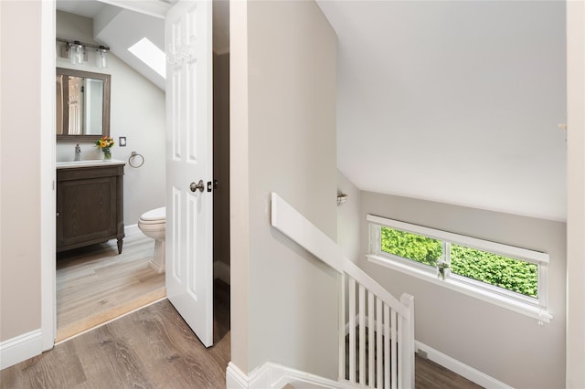 interior space featuring vanity, baseboards, wood finished floors, and toilet