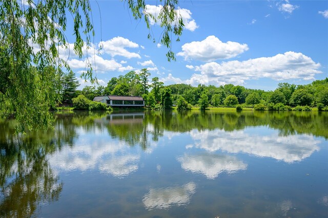 view of water feature with a view of trees