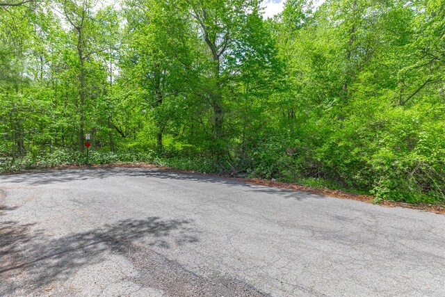 33 Pilgrim Ln, Monsey, NY 10952 - photo 4