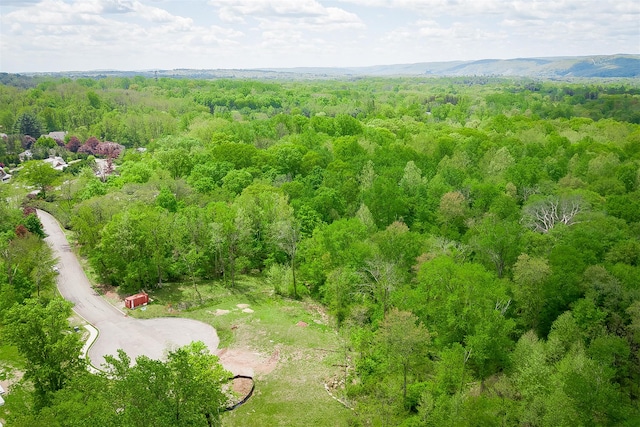25 Quince Ln, Suffern, NY 10901 - photo 5