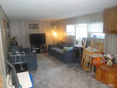 living room with carpet flooring