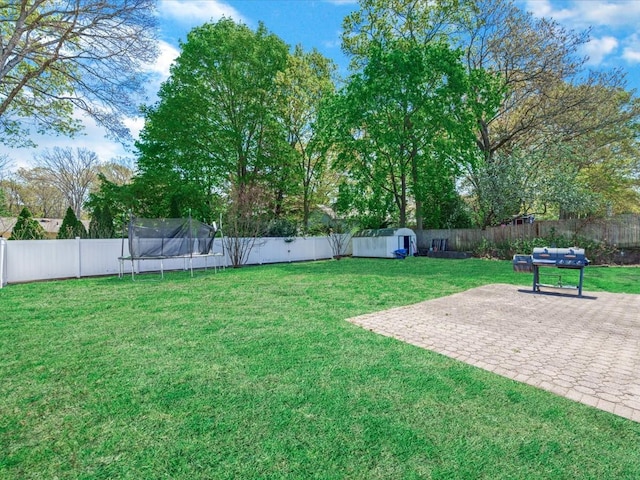 view of yard with a storage shed, a trampoline, a patio, an outbuilding, and a fenced backyard