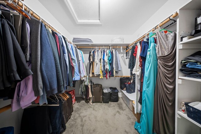 19 Donald St, East Williston, NY 11596 - walk in closet featuring attic access and carpet