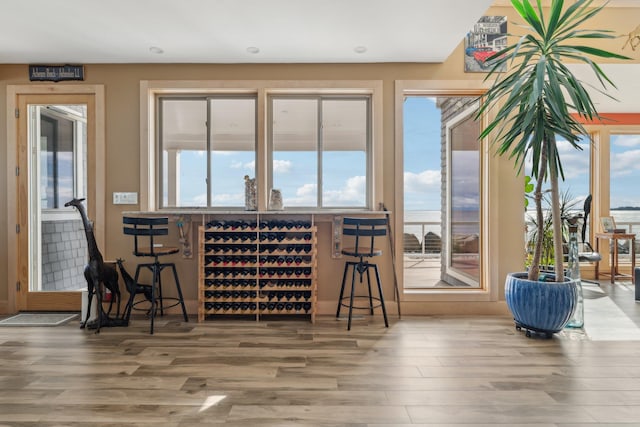 516 Asharoken Ave, Northport, NY 11768 - bar area with wood finished floors, plenty of natural light, and recessed lighting