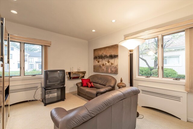1603 Cynthia Ct, Hewlett, NY 11557 - living area with carpet floors and recessed lighting