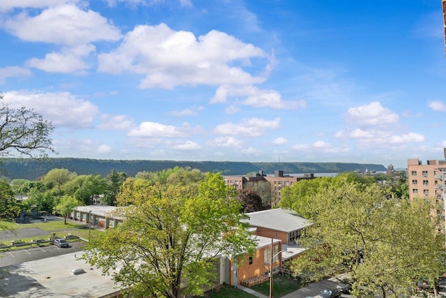 19 Abeel St Unit 6E, Yonkers, NY 10705 - bird's eye view