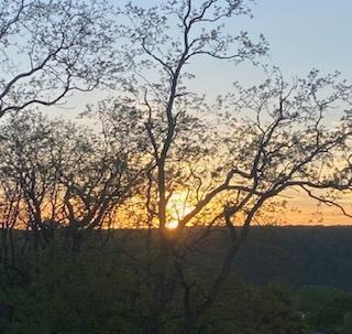 19 Abeel St Unit 6E, Yonkers, NY 10705 - view of local wilderness
