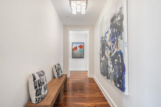 hallway with baseboards and wood finished floors