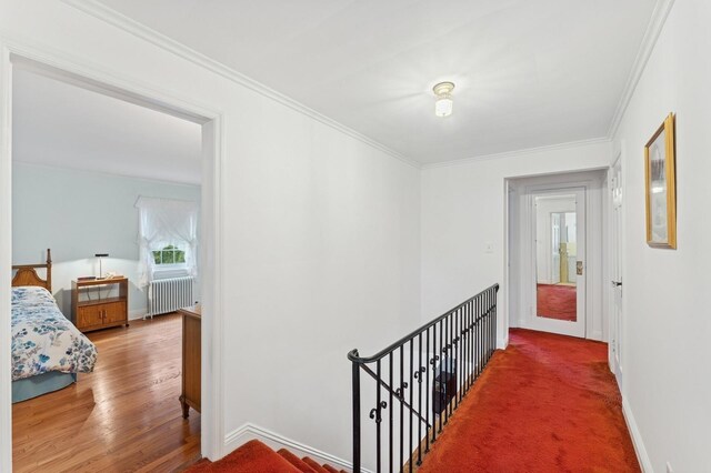 94 Stratford Ave, Garden City, NY 11530 - photo 28