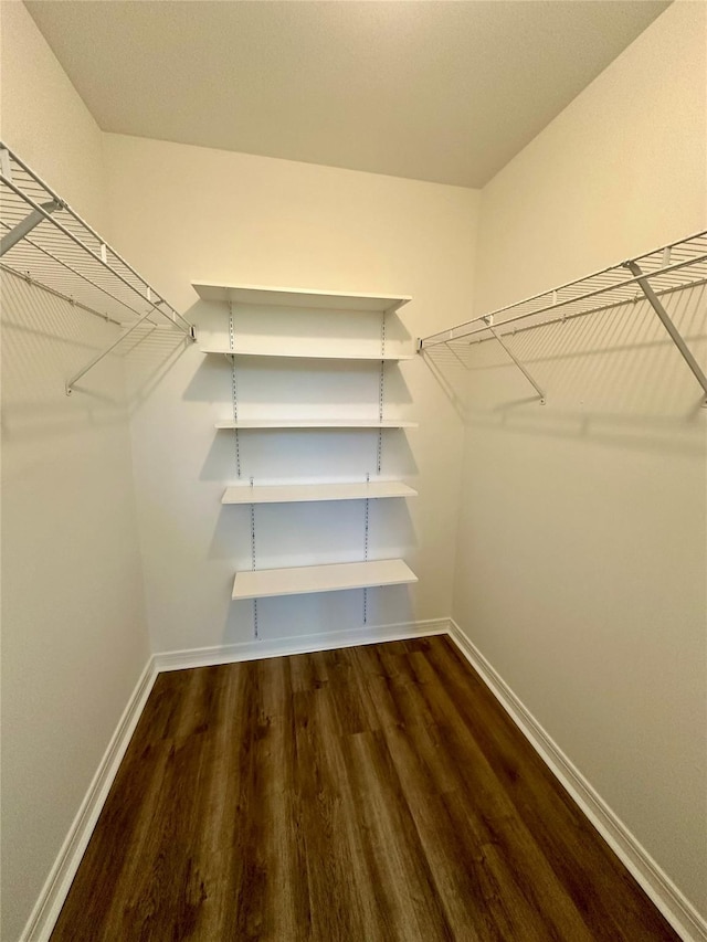 1403 Pebble Beach Path, Riverhead, NY 11901 - walk in closet featuring wood finished floors