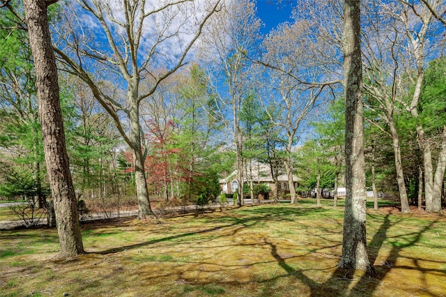 81 Lakeside Ln, Westhampton, NY 11977 - view of yard