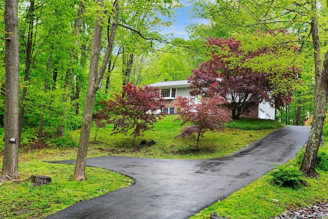 view of property hidden behind natural elements with aphalt driveway