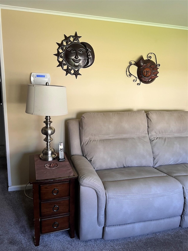 living area featuring baseboards, carpet flooring, and crown molding