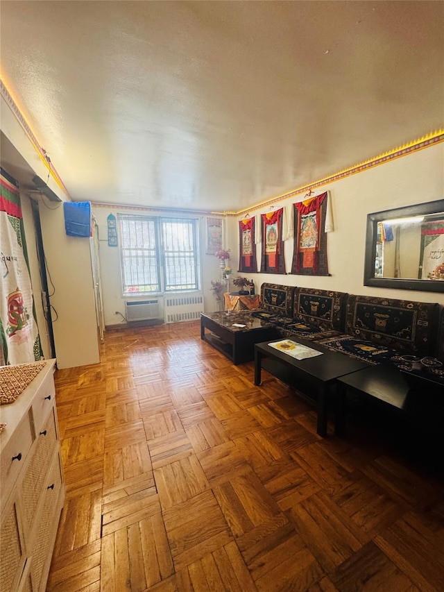 living room featuring radiator heating unit