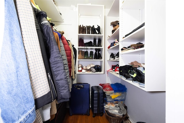 walk in closet featuring wood finished floors