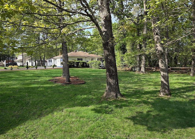 view of green lawn