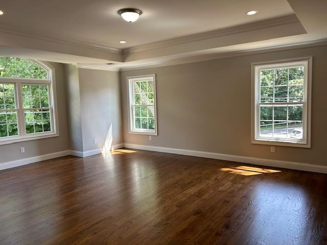 267 N Elm St, Massapequa, NY 11758 - empty room with a raised ceiling, ornamental molding, plenty of natural light, dark wood-type flooring, and baseboards