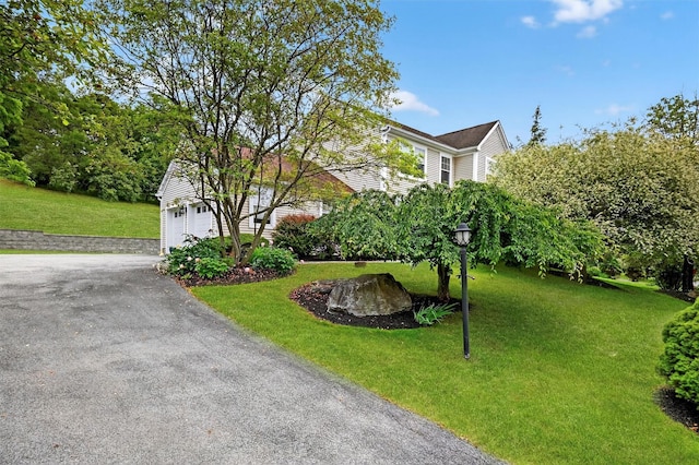 50 Roosevelt Dr, Poughquag, NY 12570 - view of property hidden behind natural elements with a garage, a front yard, and asphalt driveway