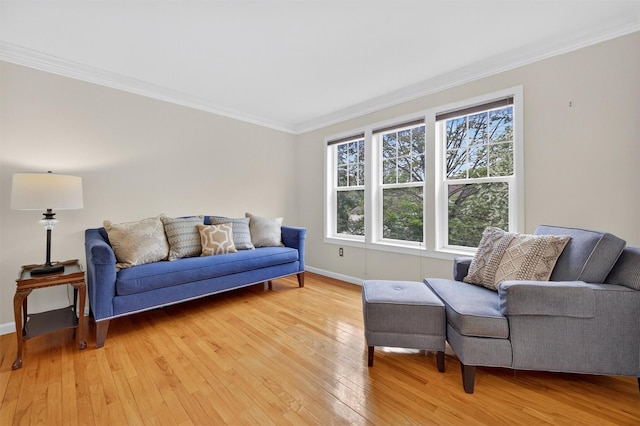 50 Roosevelt Dr, Poughquag, NY 12570 - living room with light wood-style floors and ornamental molding