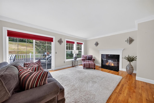 50 Roosevelt Dr, Poughquag, NY 12570 - living room with ornamental molding, healthy amount of natural light, light wood-type flooring, and a fireplace with flush hearth