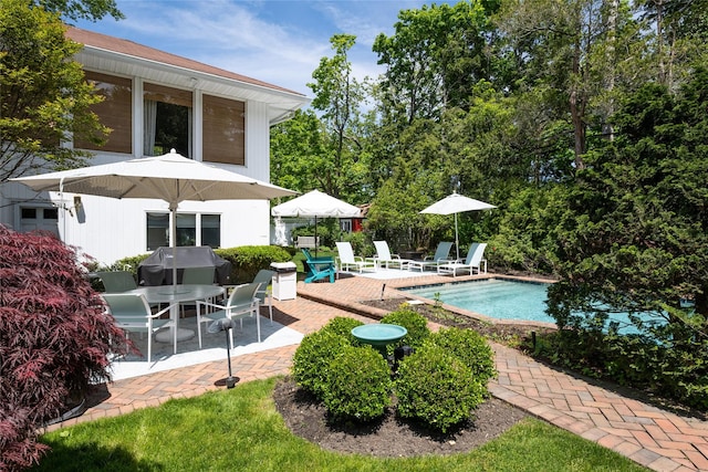 94 Schoolhouse Ln, Roslyn Heights, NY 11577 - outdoor pool featuring a patio and area for grilling