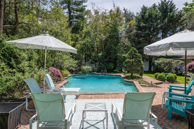 94 Schoolhouse Ln, Roslyn Heights, NY 11577 - outdoor pool with a patio