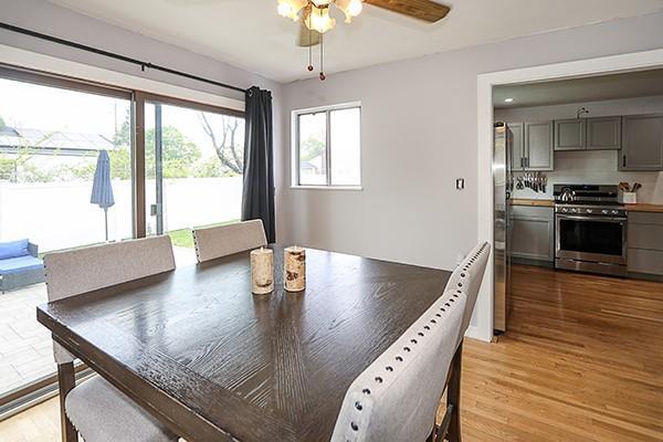 dining space with ceiling fan and light wood-type flooring