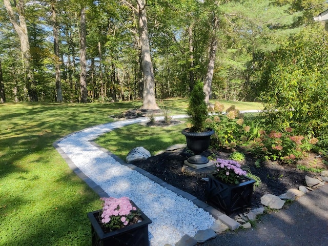 78 Schultz Hill Rd, Rhinebeck, NY 12580 - view of green lawn