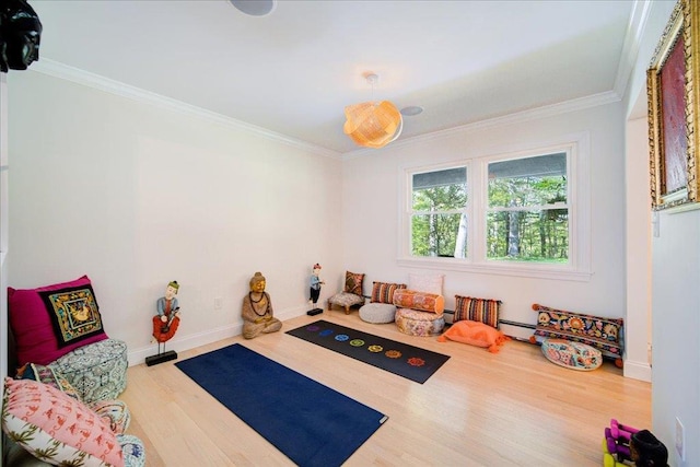 78 Schultz Hill Rd, Rhinebeck, NY 12580 - exercise room with wood finished floors, crown molding, baseboards, and a baseboard heating unit