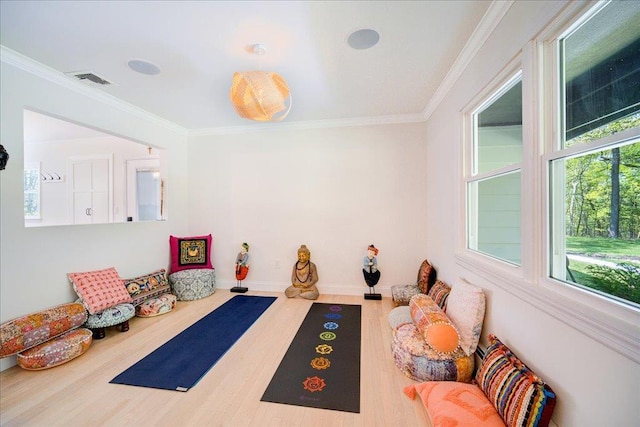 78 Schultz Hill Rd, Rhinebeck, NY 12580 - workout room featuring wood finished floors, ornamental molding, and baseboards