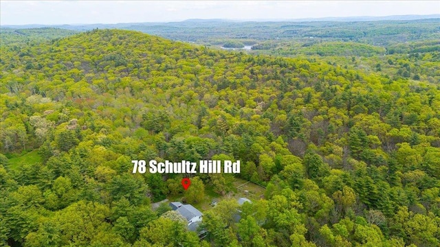 78 Schultz Hill Rd, Rhinebeck, NY 12580 - drone / aerial view of a forest