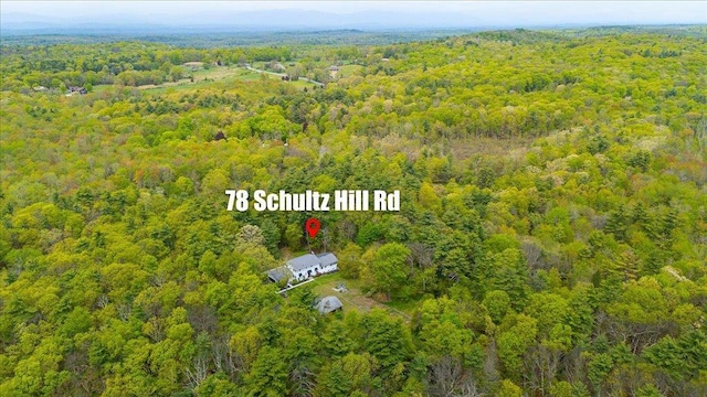 78 Schultz Hill Rd, Rhinebeck, NY 12580 - bird's eye view of a heavily wooded area