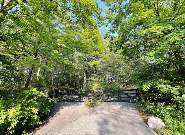 78 Schultz Hill Rd, Rhinebeck, NY 12580 - view of asphalt driveway with a gate and a forest view