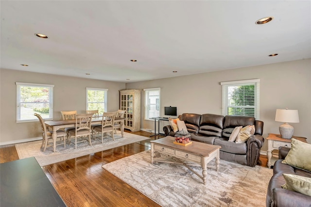 living room with baseboards, wood finished floors, and a healthy amount of sunlight