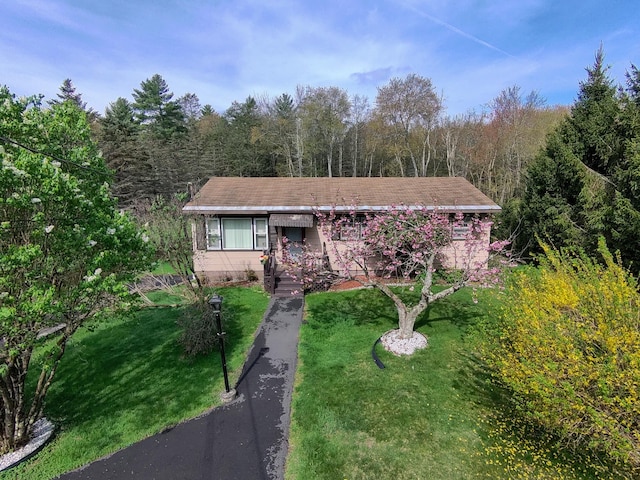 view of front of house featuring a forest view and a front lawn