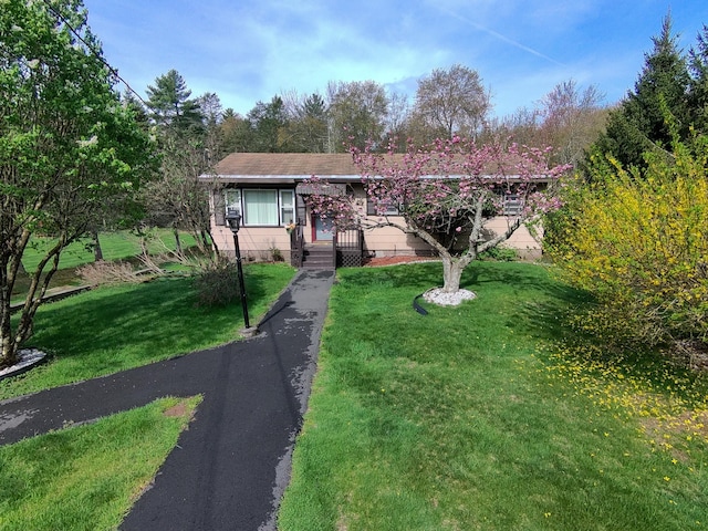 ranch-style home with a front yard