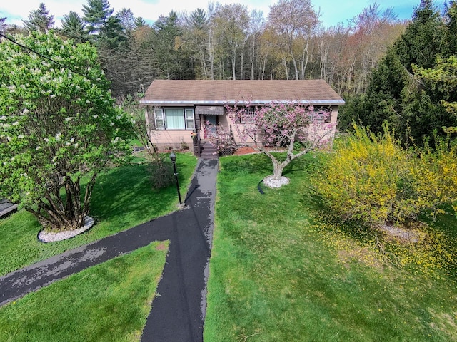 view of front of property featuring a wooded view and a front lawn