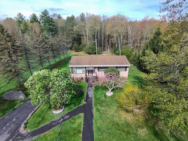 drone / aerial view with a forest view