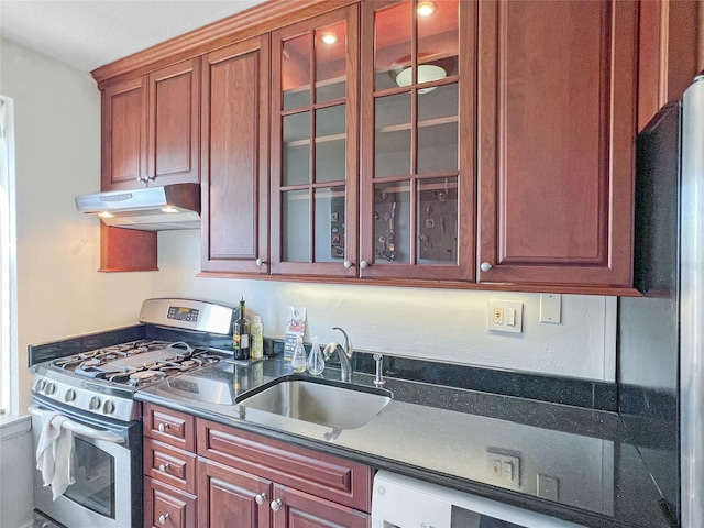 kitchen with under cabinet range hood, glass insert cabinets, stainless steel appliances, and a sink