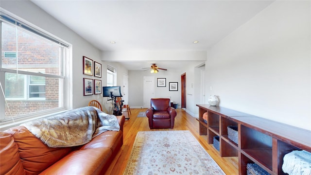 living area with baseboards, ceiling fan, recessed lighting, and light wood-type flooring