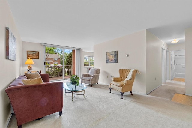 1 Lakeview Dr Unit 1L, Peekskill, NY 10566 - carpeted living room featuring baseboards