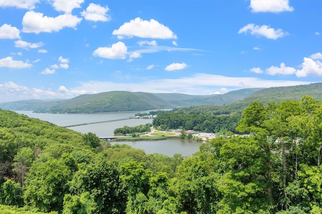 1 Lakeview Dr Unit 1L, Peekskill, NY 10566 - view of mountain backdrop with a forest and a nearby body of water