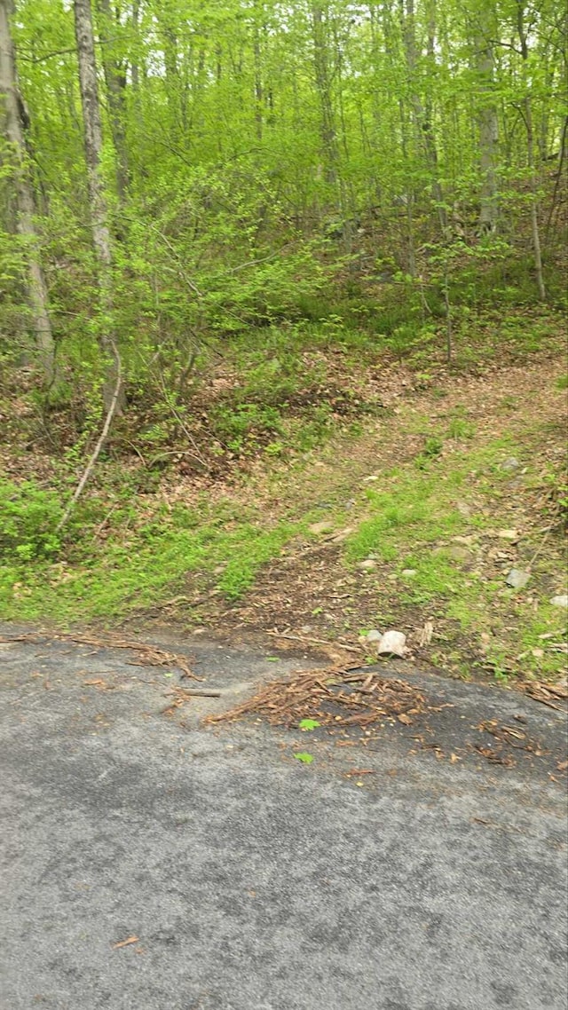  - photo 1