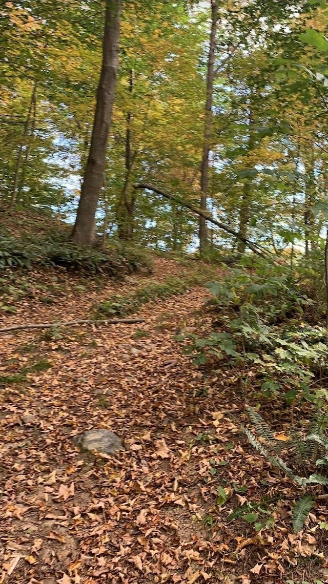  - photo 4